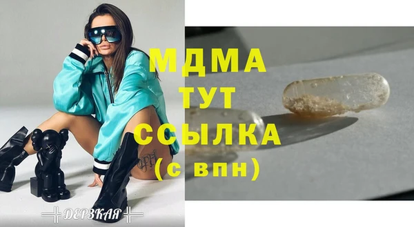 мдпв Ладушкин