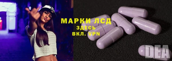 мдпв Ладушкин