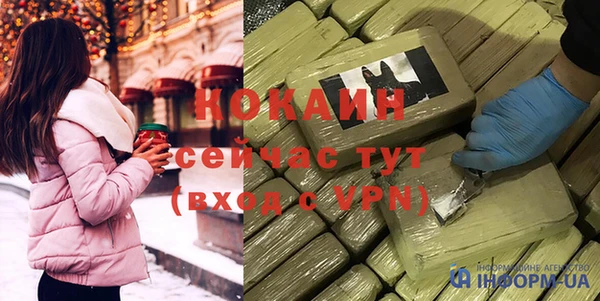 мдпв Ладушкин