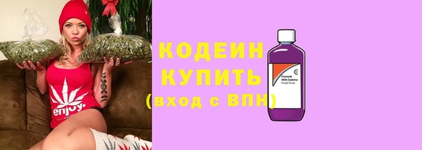 мдпв Ладушкин