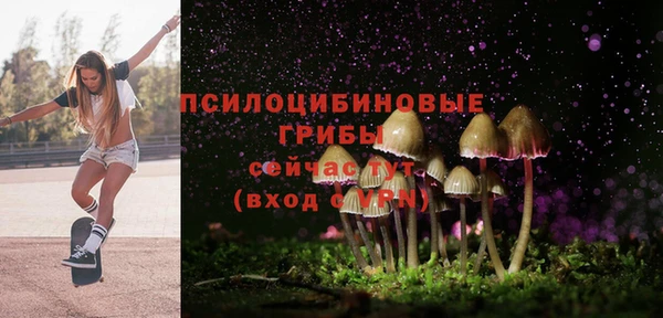 бутират Лагань