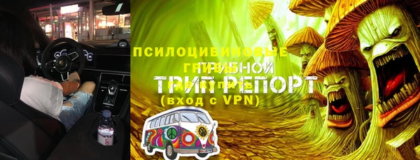мдпв Ладушкин