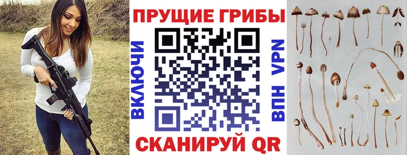 Галлюциногенные грибы Psilocybine cubensis  Харабали 